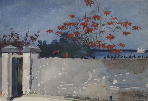 A Wall,Nassau (mk44), Winslow Homer